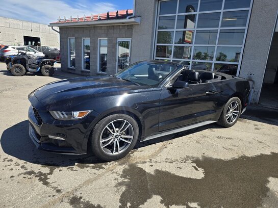 2017 Ford Mustang 2017 Black 2017 Ford Mustang 2017 Black